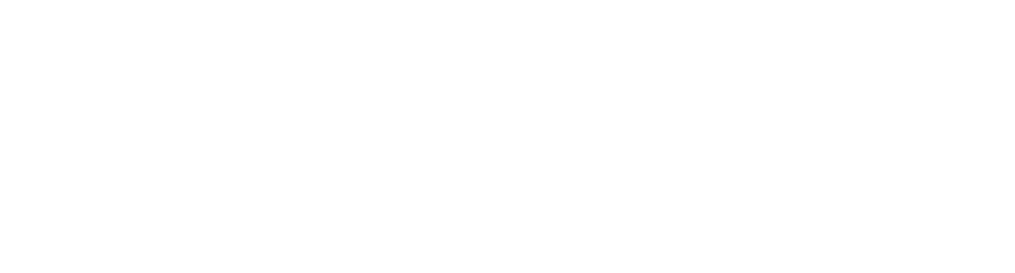 DanMan Group